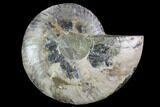 Cut Ammonite Fossil (Half) - Agatized #97739-1